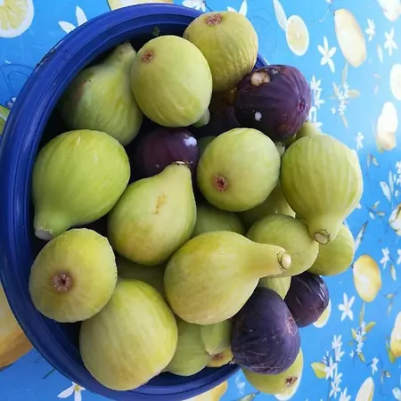 Stanza Posto Rosso Oda ve Kahvaltı